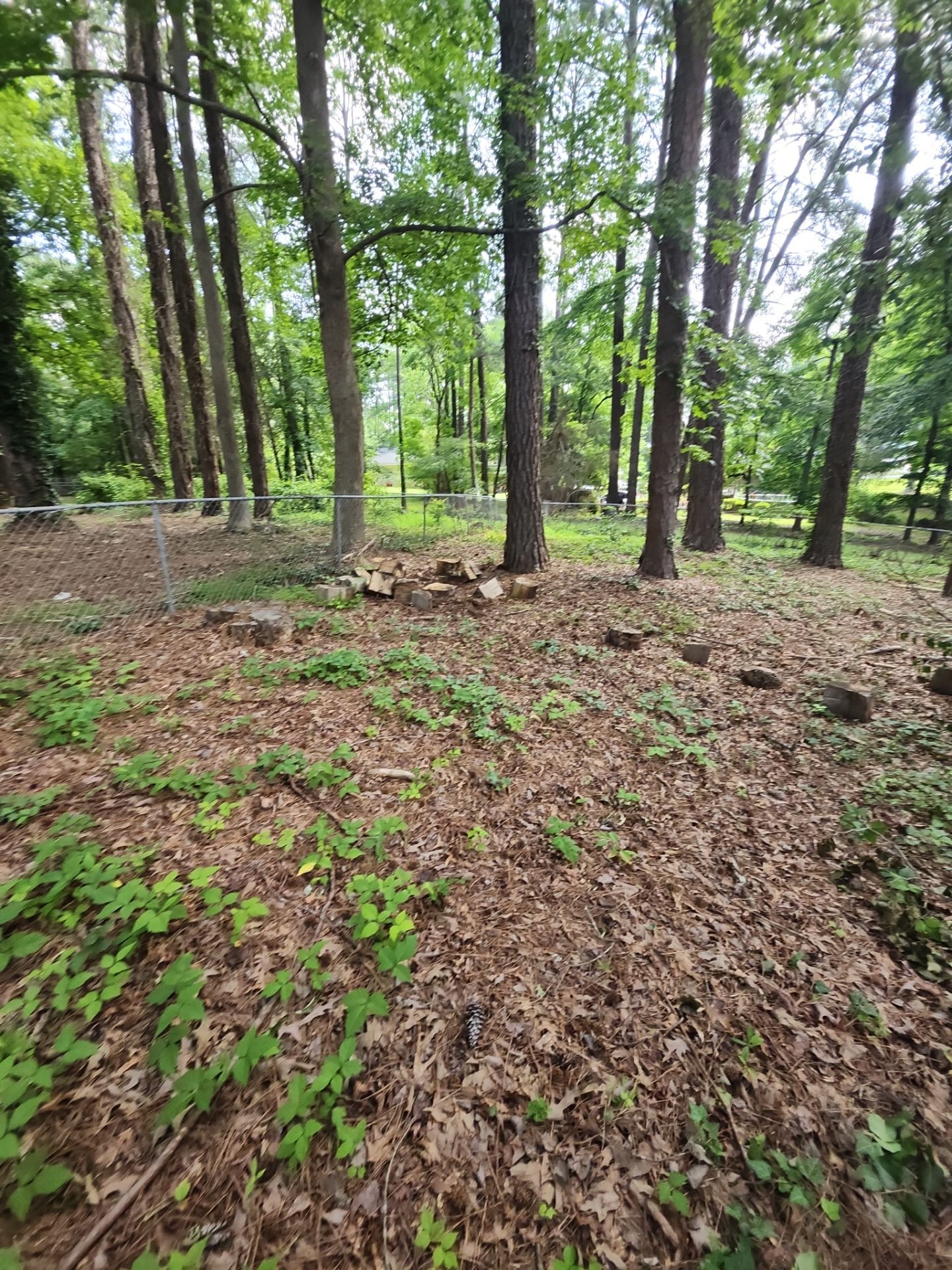 Project in Riverdale, GA by Task Masters Handyman Services, LLC