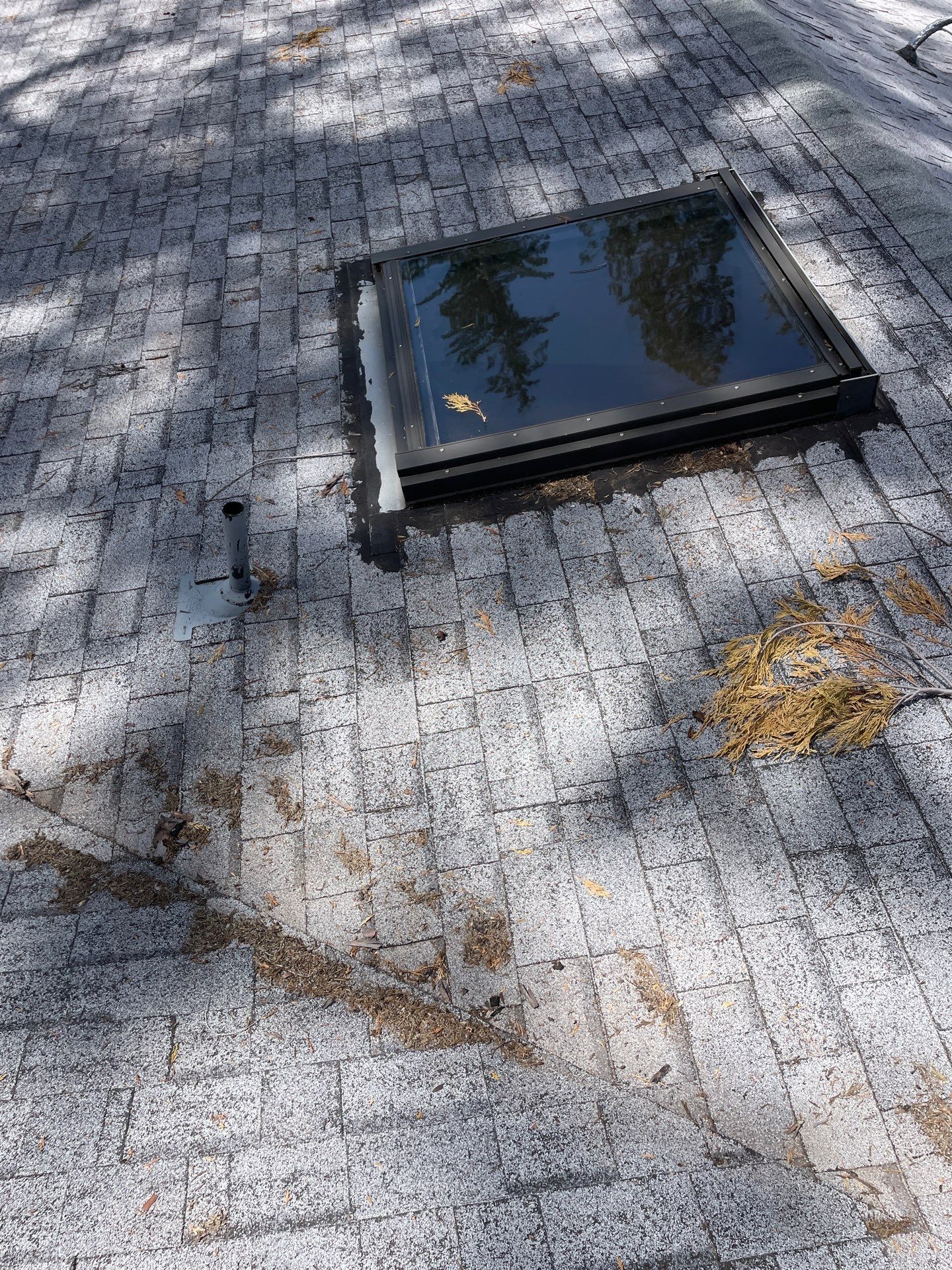 Roof Rejuvenation using Roof Maxx Treatment by Roof Maxx of Folsom