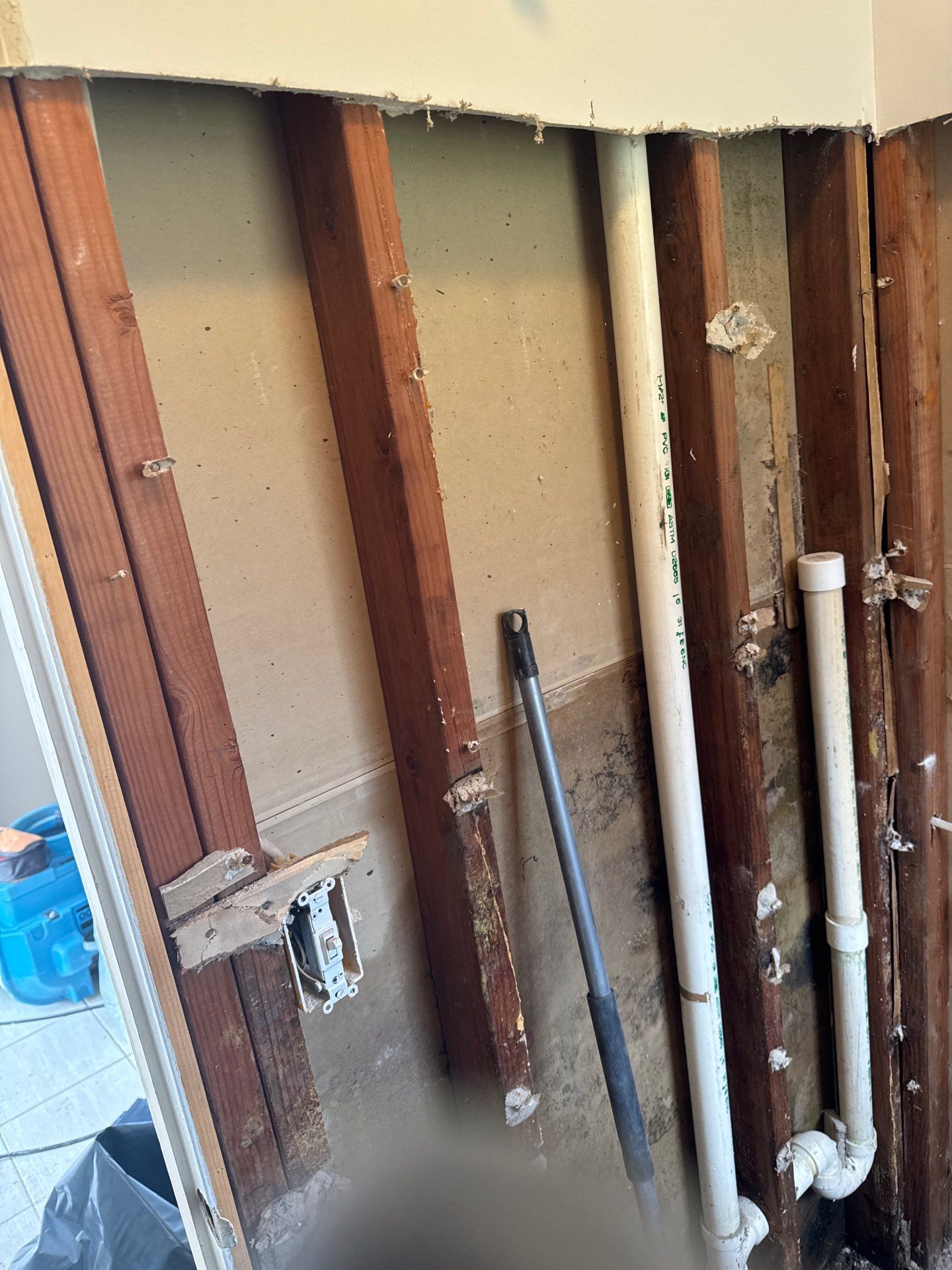 Mold Remediation and Water Damage Repair in Stonybrook, NY by Newhouse Restoration