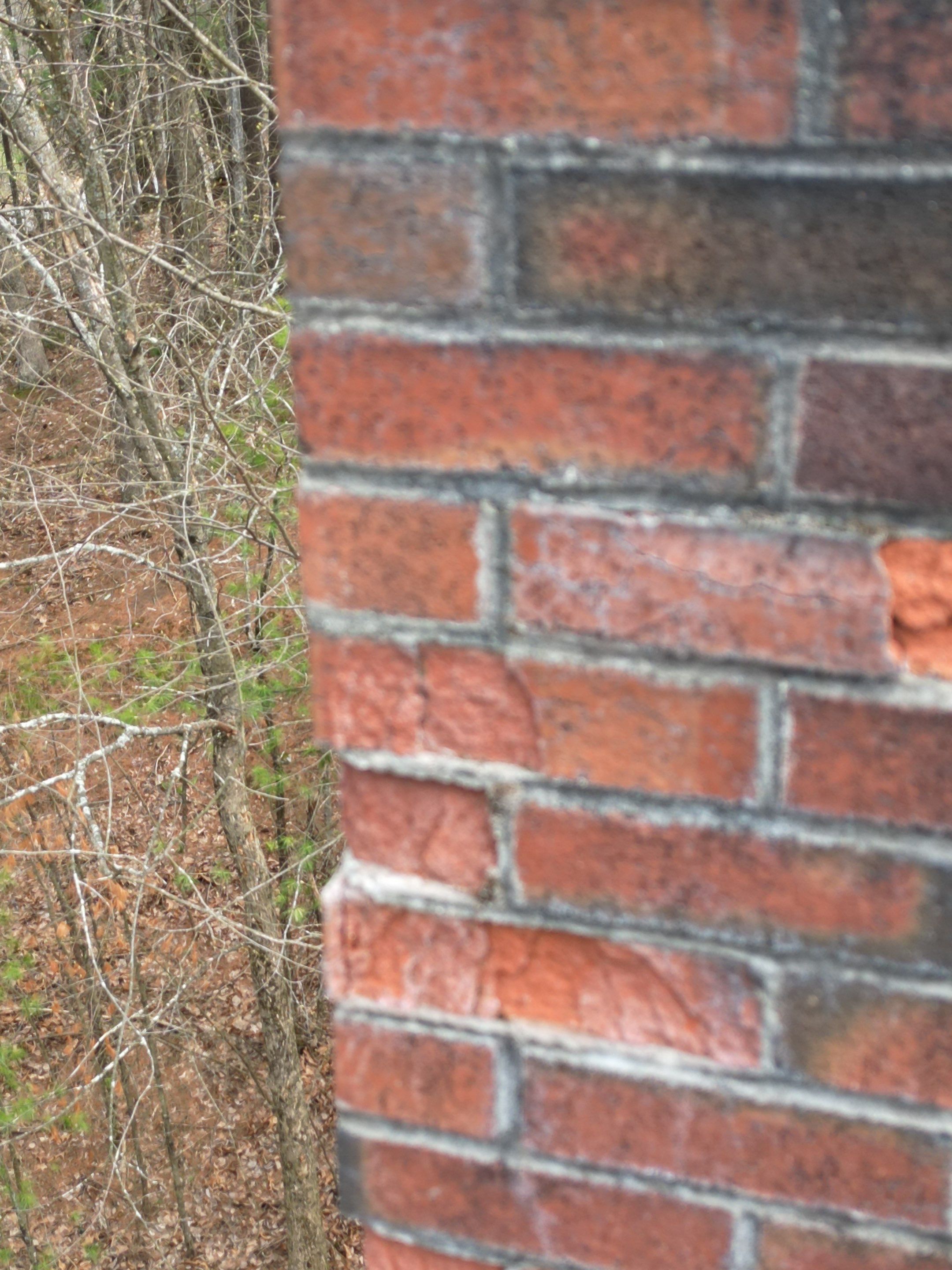 Siding | Dunstable by Mighty Dog Roofing of Greater Middlesex County