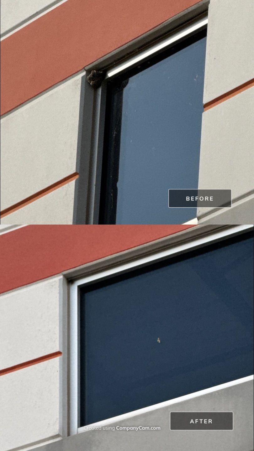 Project in Elgin by Simmons Power & Soft Washing