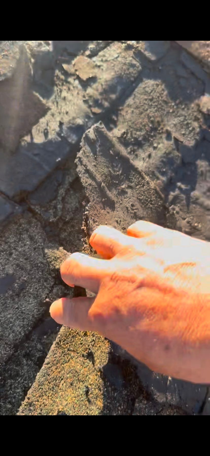 Roof Installation  by Grandmark Service Company