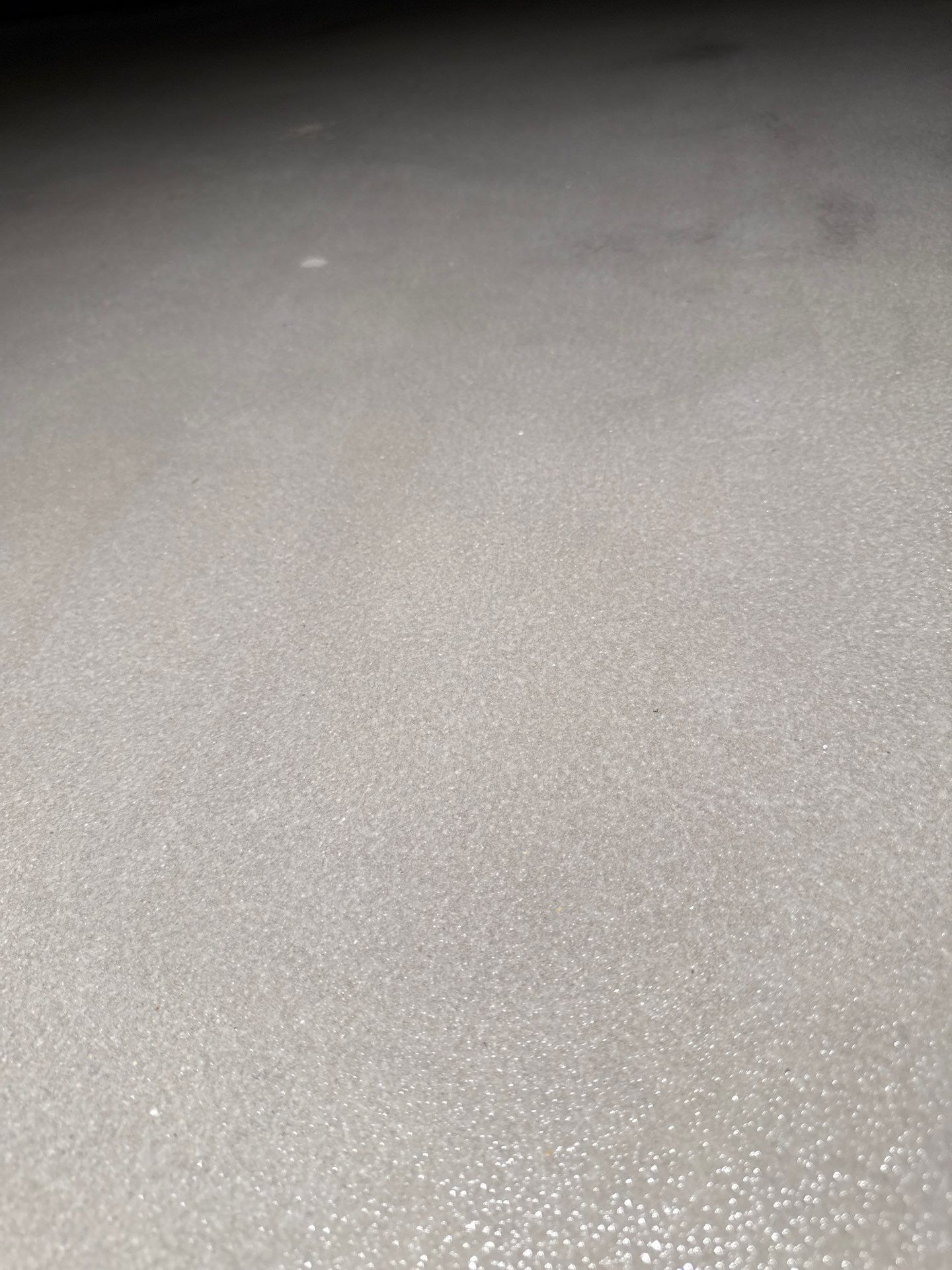 Grind off 20 layers of Paint Project in Pittsburgh by Floors in a Day, Inc