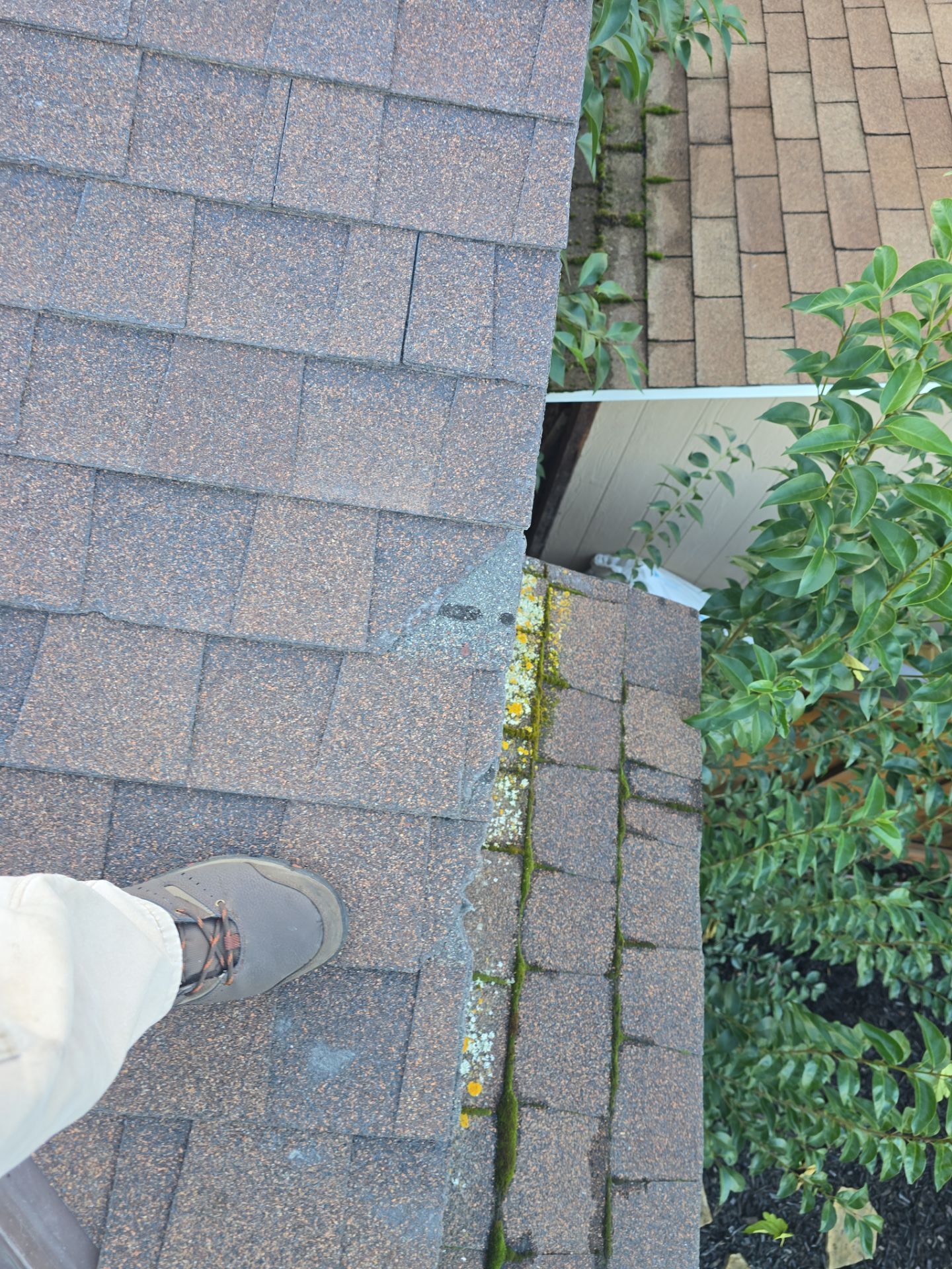 Roof Rejuvenation using Roof Maxx Treatment by Roof Maxx of Folsom