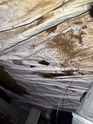 Project in Wheat Ridge