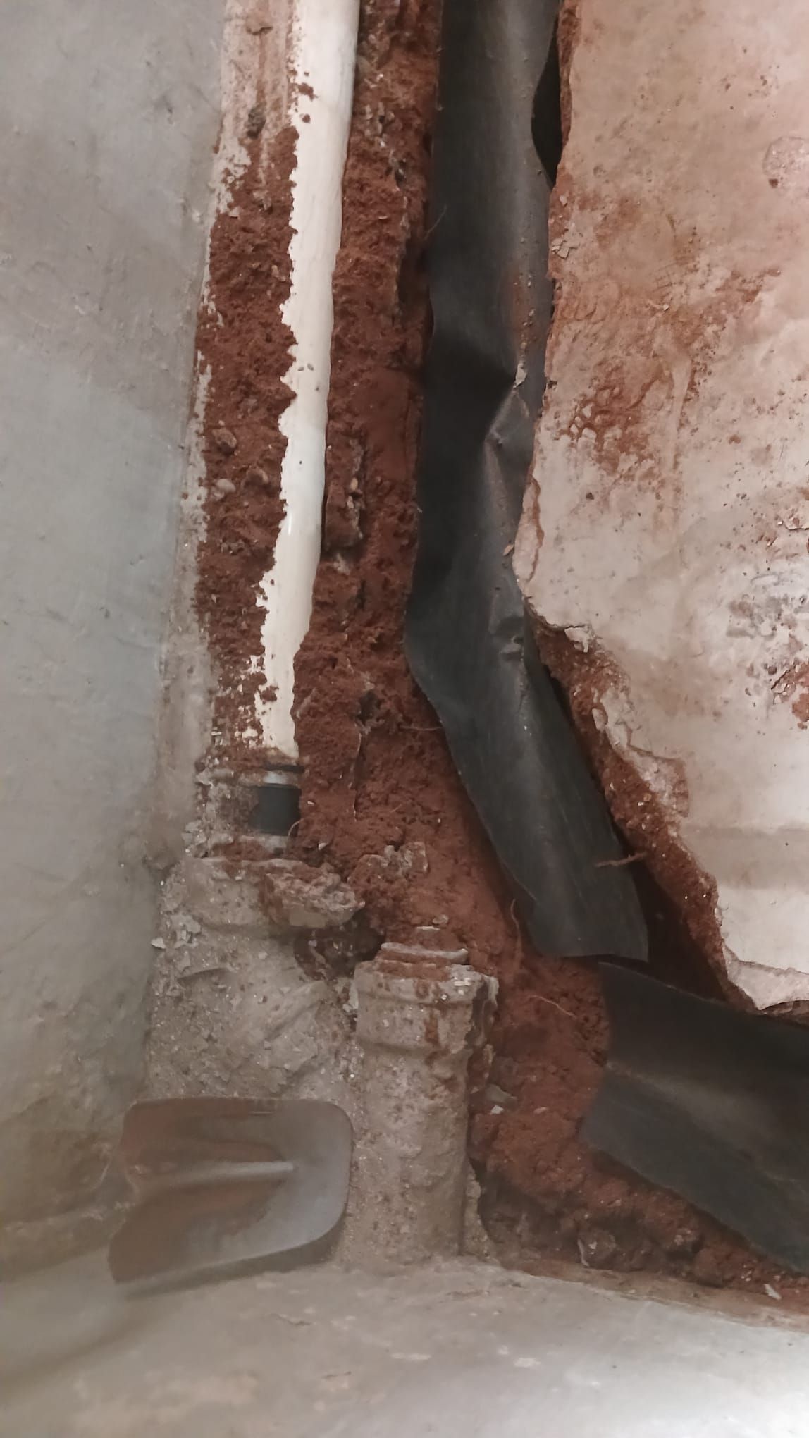Interior French Drain &. Mold Remediation Dunnellen NJ  by Pure Service Pro, LLC 