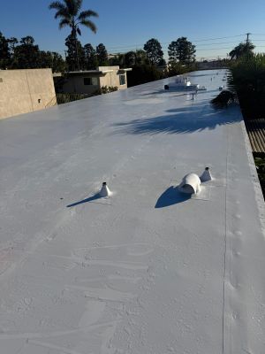 TPO - Re-Roof