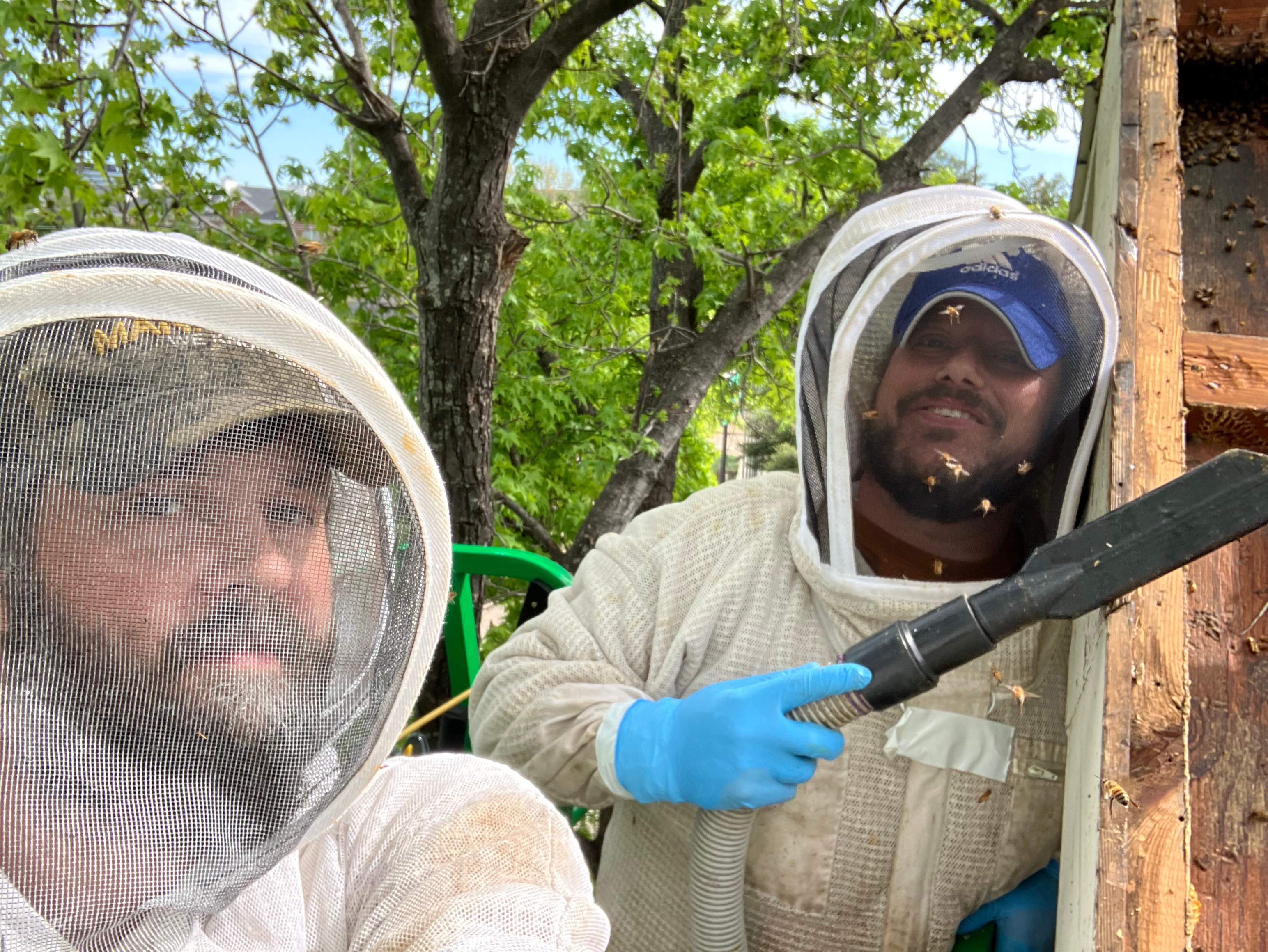 Commercial Roof by Rockwall Honey Bee Company