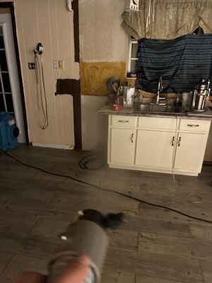 Mold Remediation — Pensacola, FL