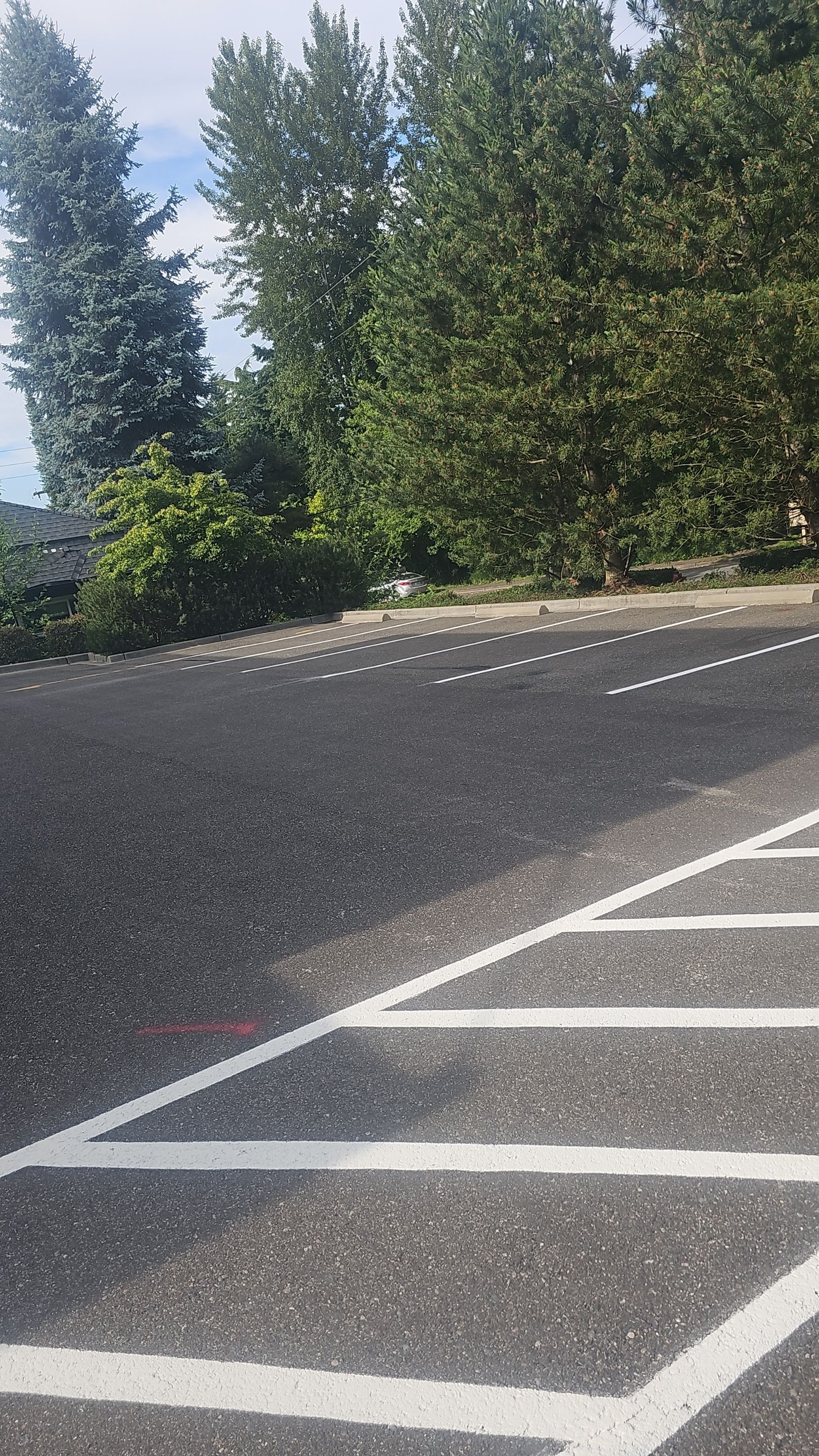 Asphalt Patch Repair & Concrete Curb Renovation | Kirkland  by Jireh Asphalt & Concrete Inc 