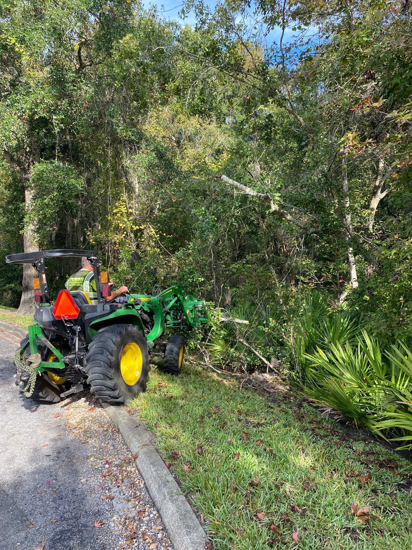 Tree & Palm Trimming | Commercial Property by ProGreen Services