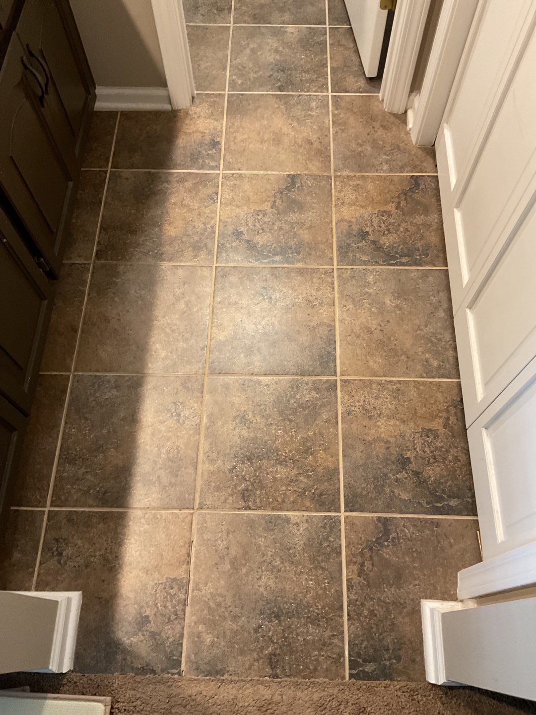 Acrylic shower, lifetime warranty by The Shower Company
