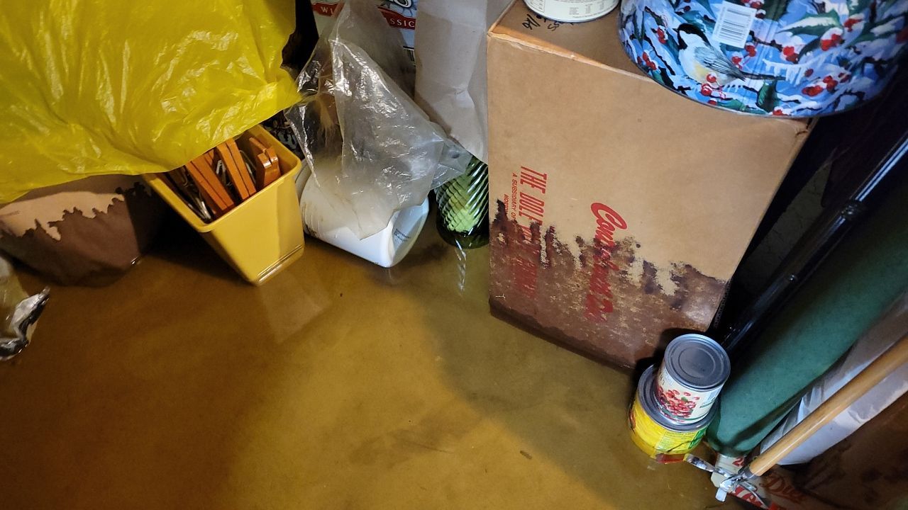 Sump Pump Failure by Chicagoland Water Medics