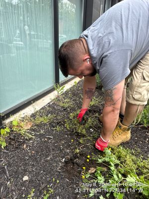 Modern Commercial Landscaping and Grounds Maintenance in New Haven