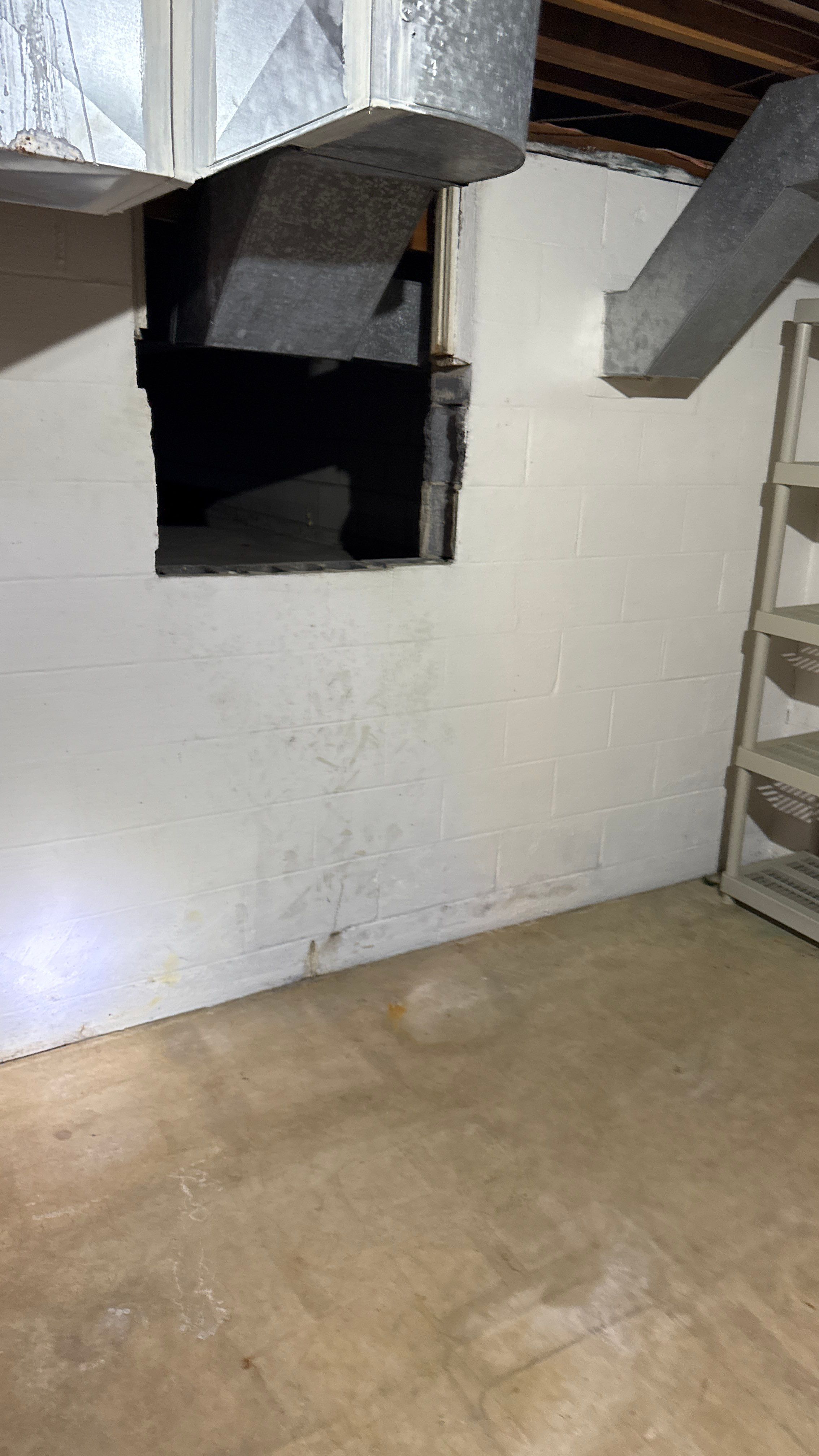 Interior French Drain in Princeton, NJ by Pure Service Pro, LLC 