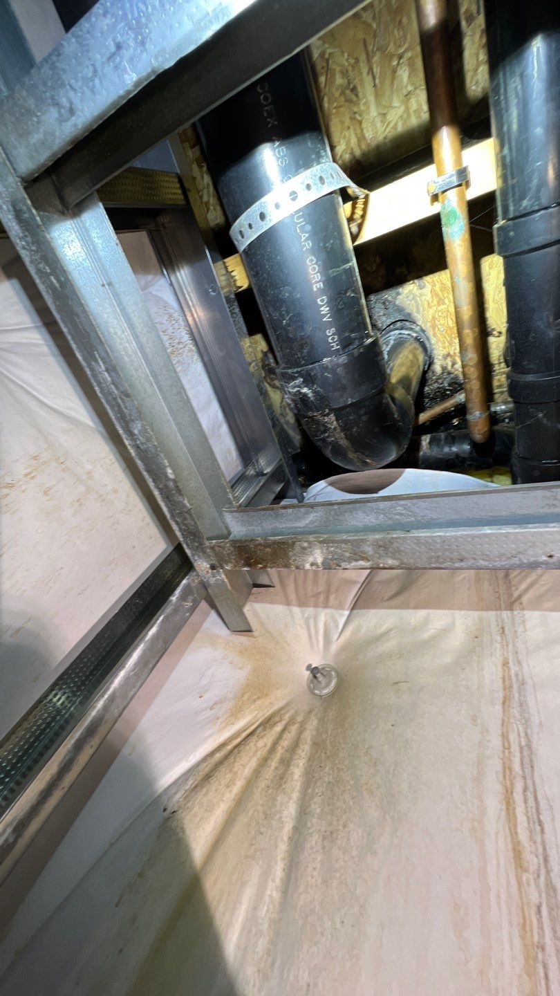 Mold Remediation by Accountable Home Services