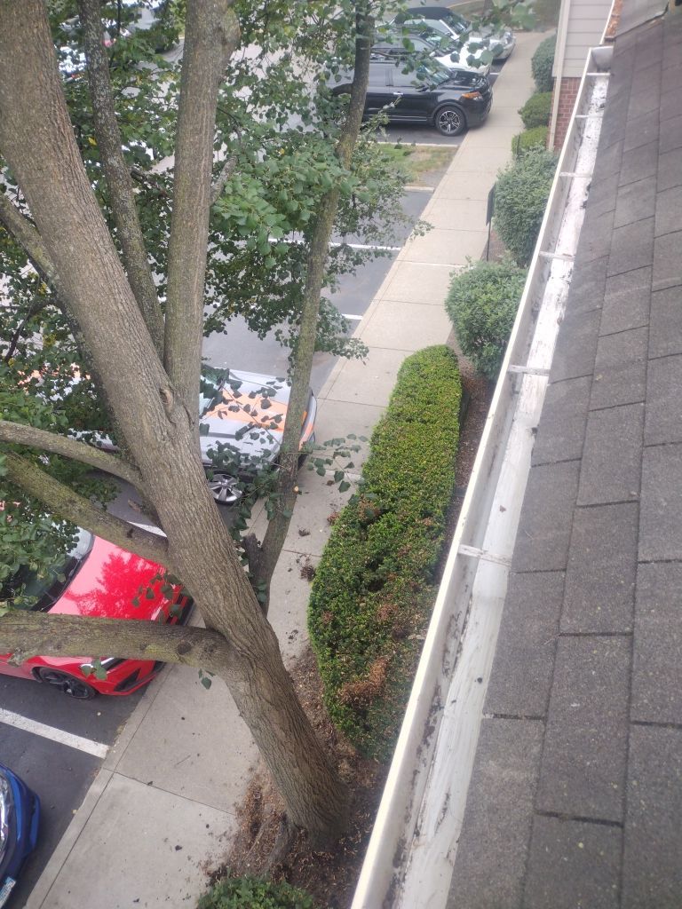 Commercial gutter cleaning Naperville & Aurora after photo with clean gutters