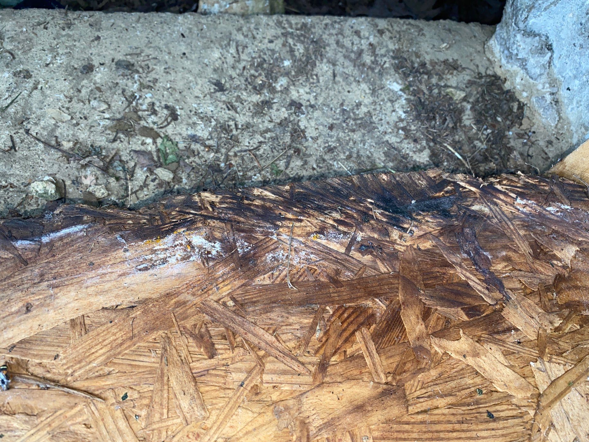 Remediate mold in crawlspace of Mingo Junction Ohio home. by Home Environment Solutions