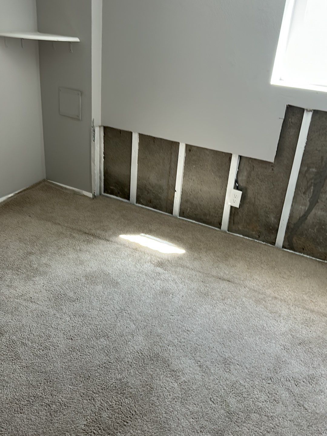 Mold Damage Repairs by Accountable Home Services