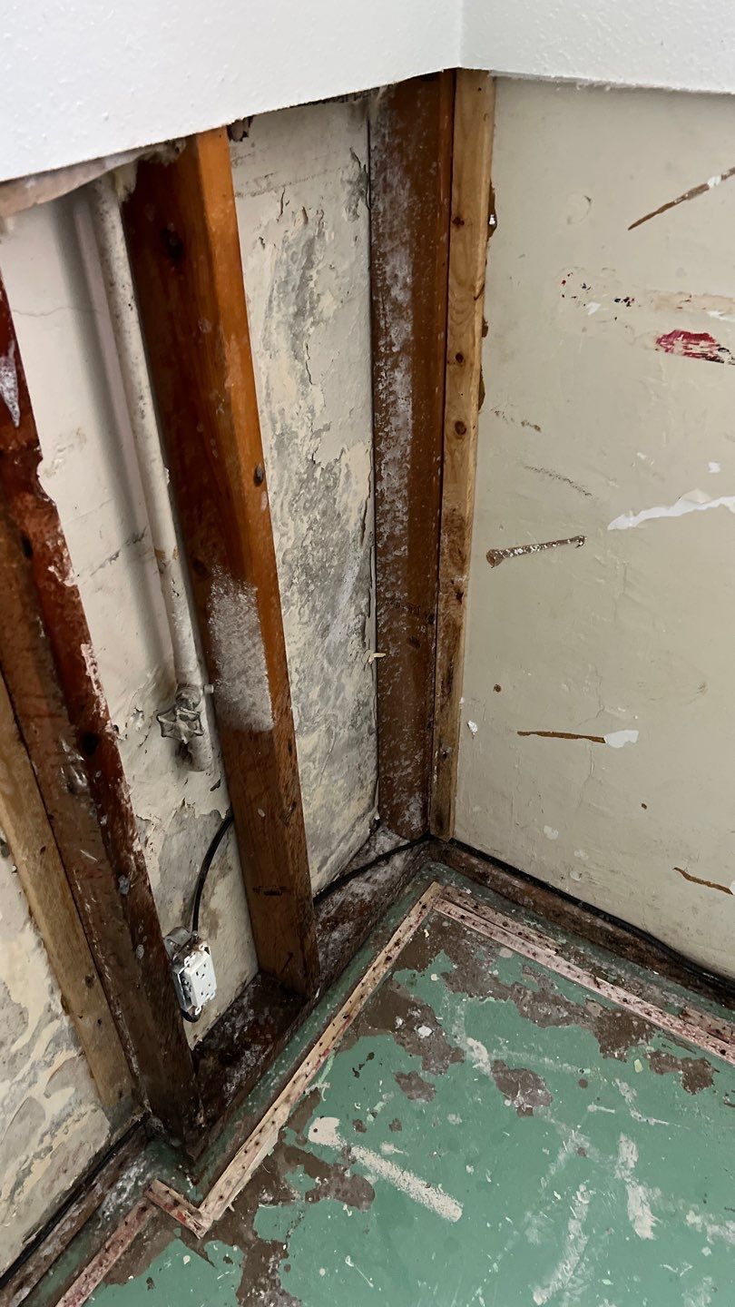 Mold Remediation by Accountable Home Services