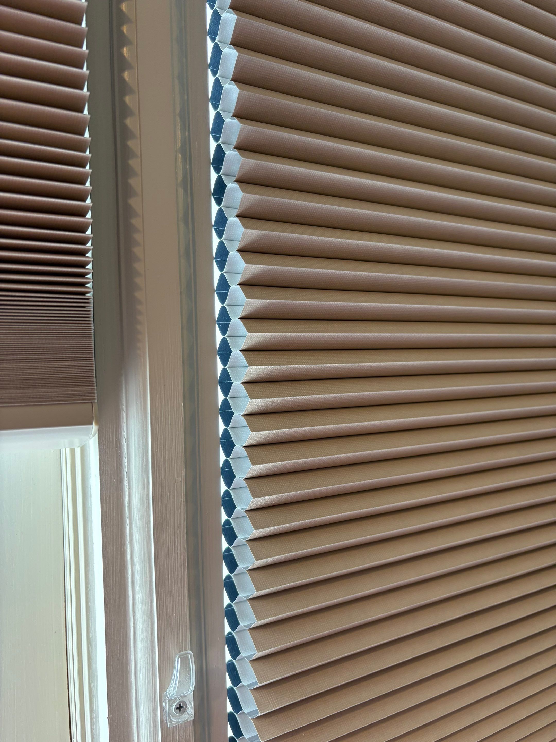 Honeycomb Project in Madison by Blinds and Borders