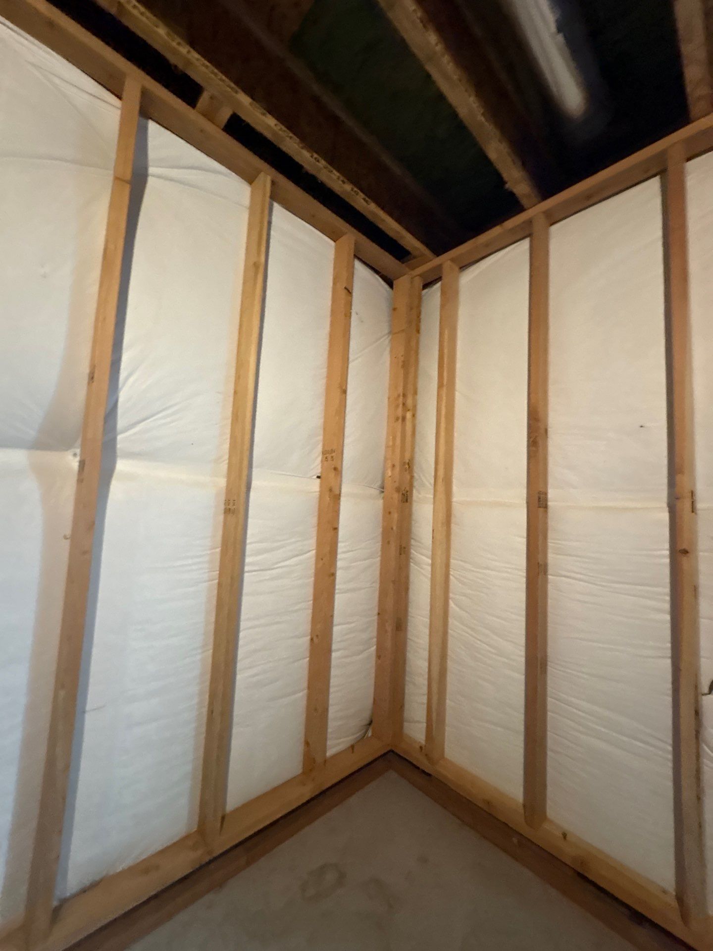 Basement Egress Window and Interior Wall Framing in Wellington by CompanyCam Sales Demo