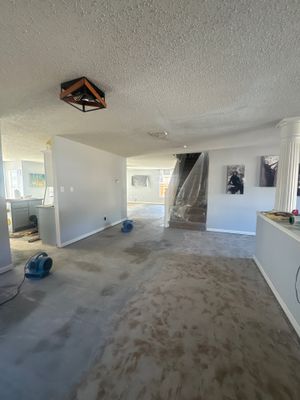 Wood Floors