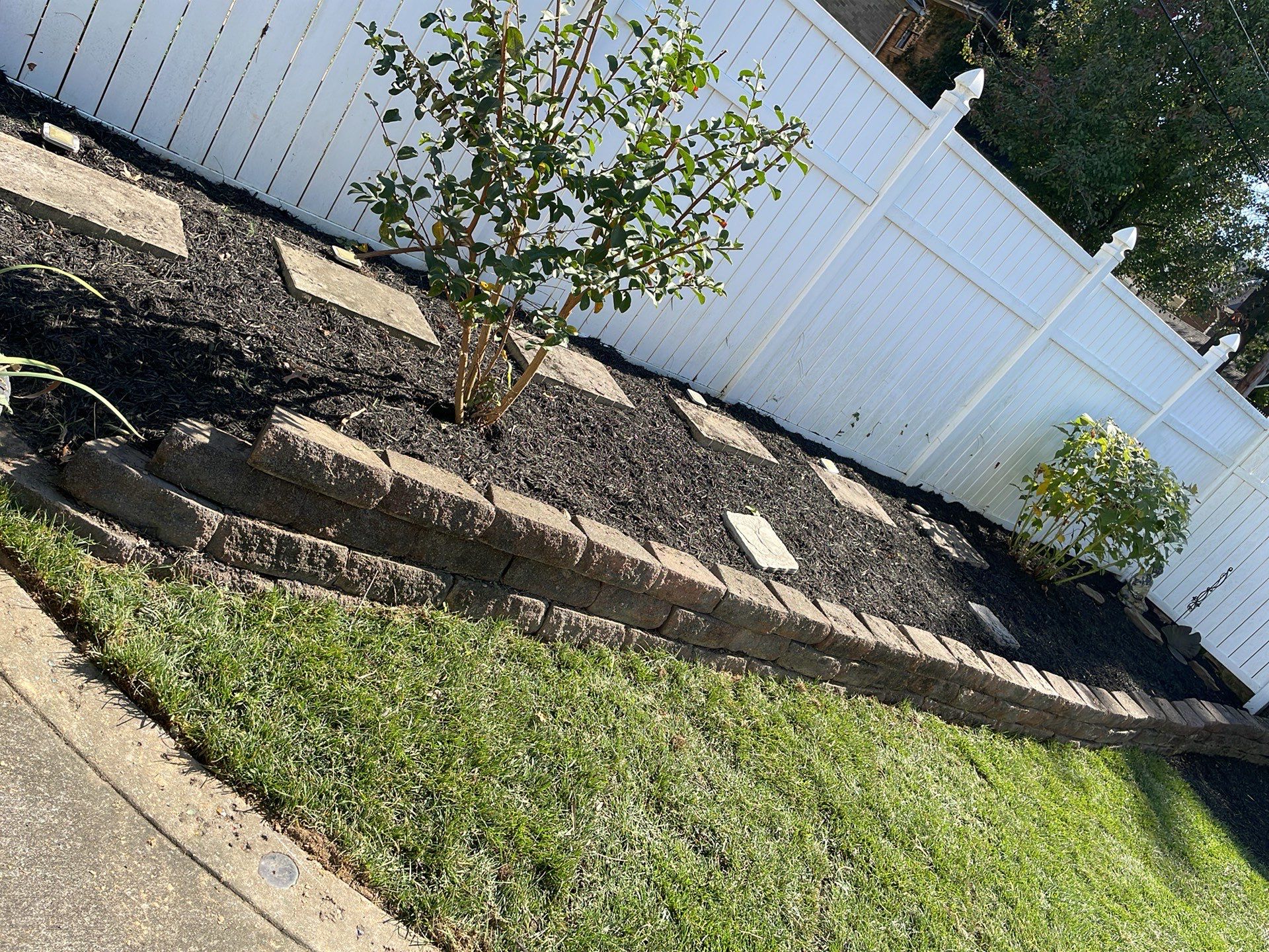 Total transformation! by GrassBusters, Inc.