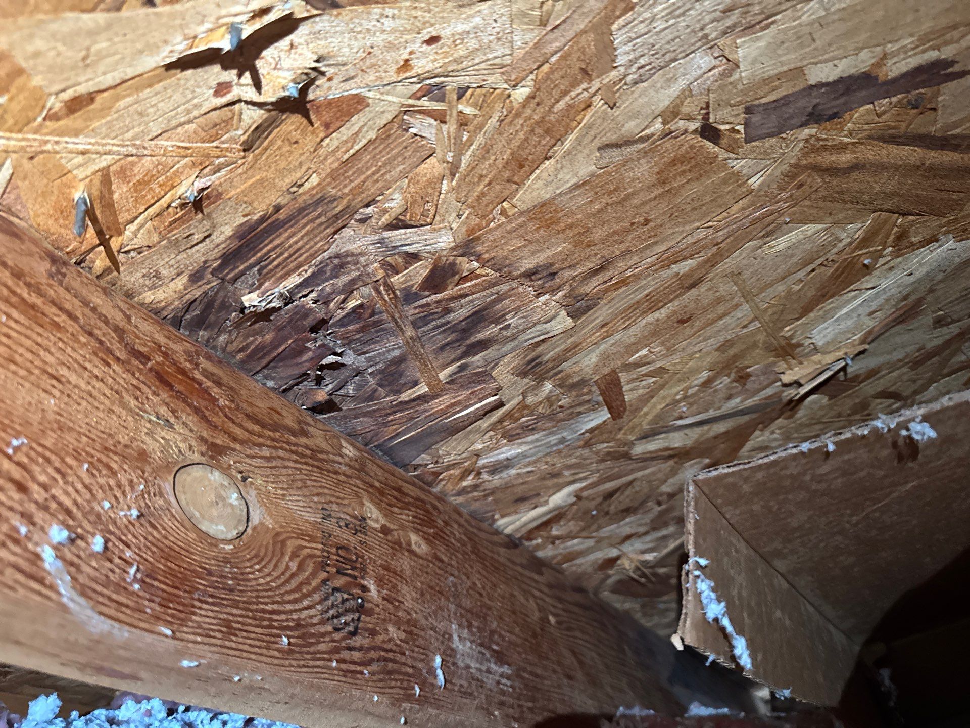 Roof Repair Spring by Roof Repair Company