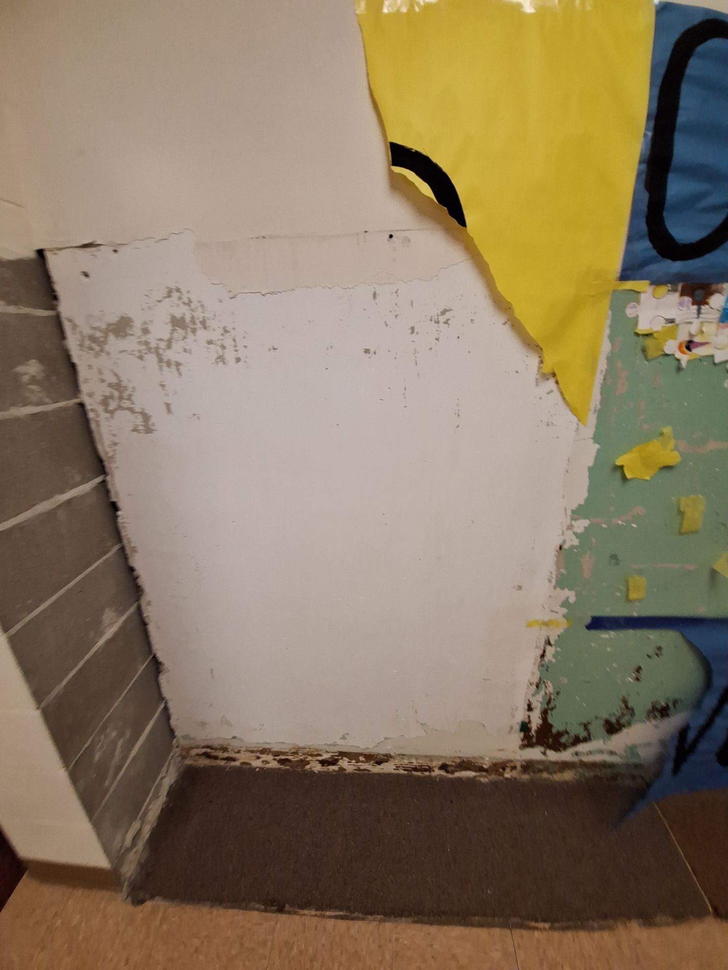 Interior Drywall Patching and repainting for Oakridge School district! by Gordon Painting