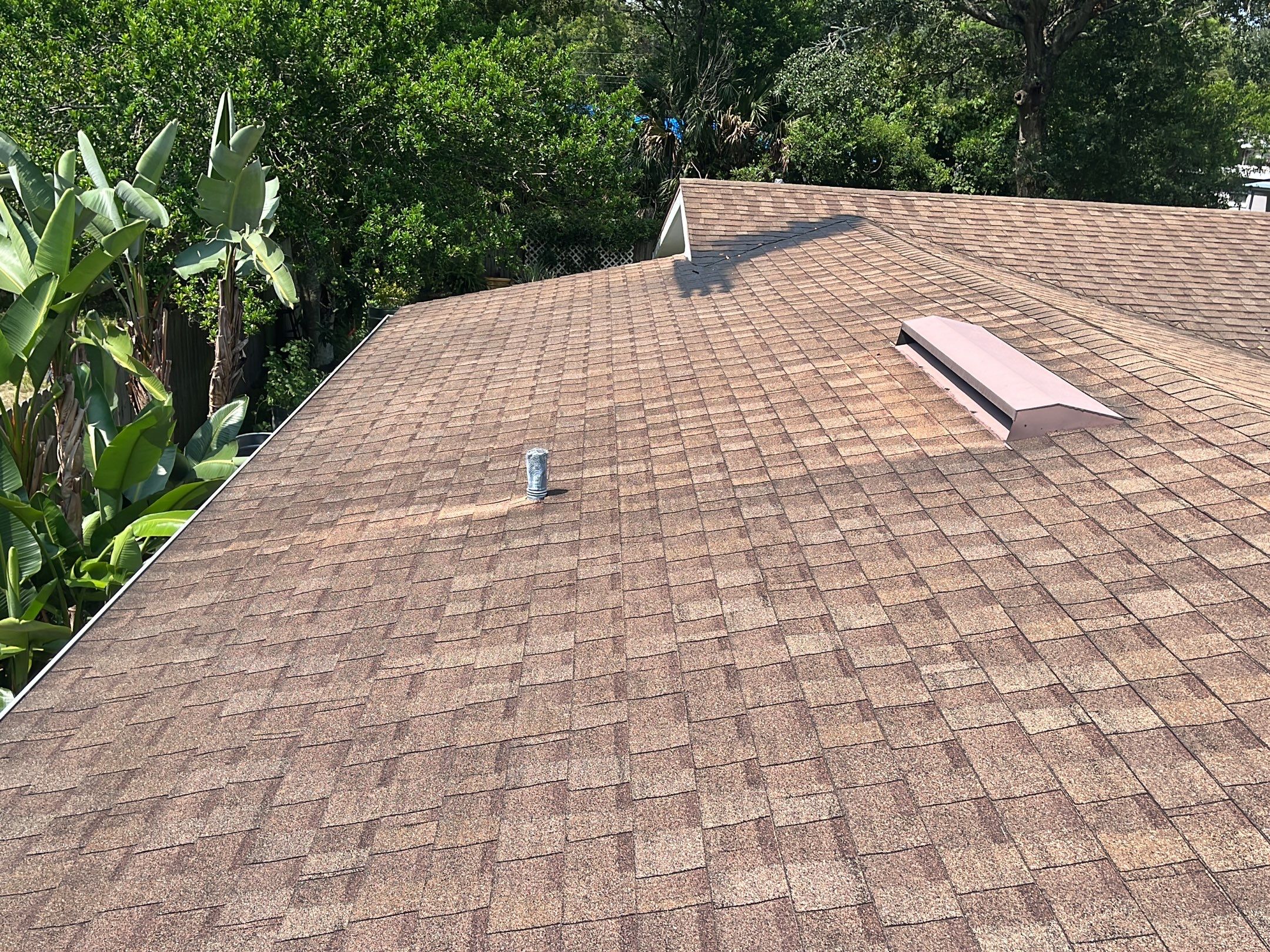 Shingle -> Shingle by Prime Roofing