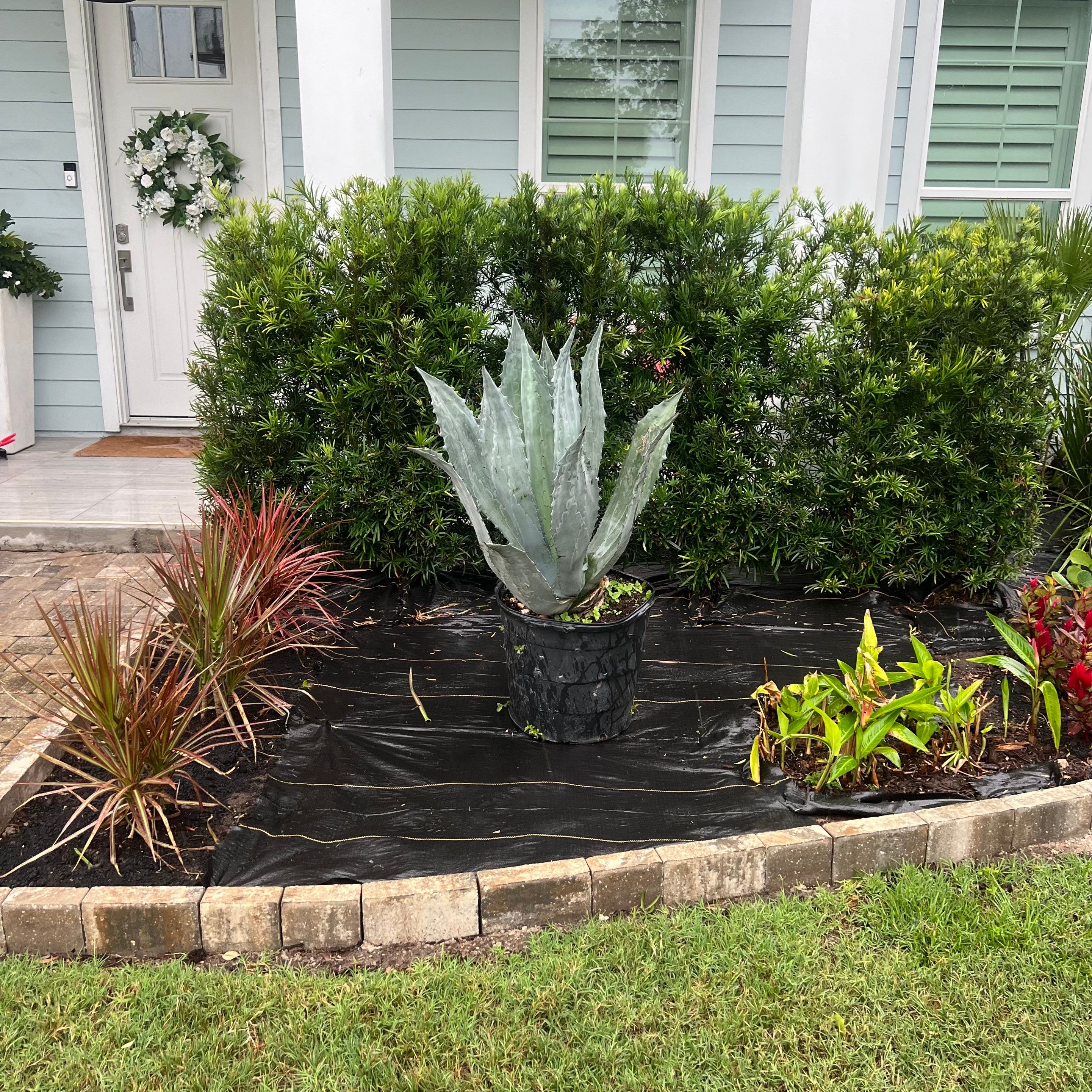 Rock & Agave Installation | Residential by ProGreen Services