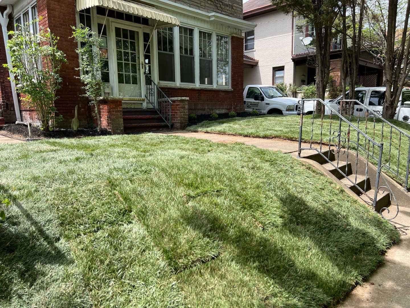 Sod Installation using Fescue Sod by GrassBusters, Inc.