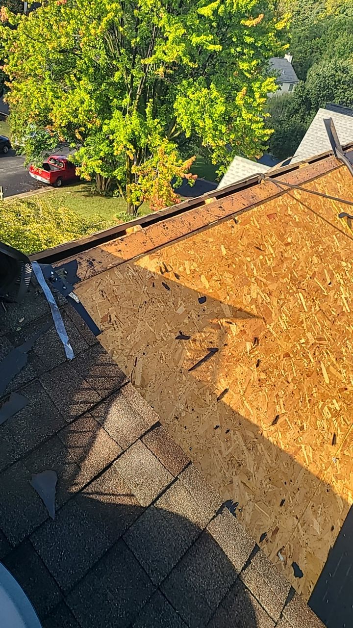 Dumfries: CertainTeed Landmark Pro Designer Shingles in Max Def Weathered Wood by RM Banning, Inc.