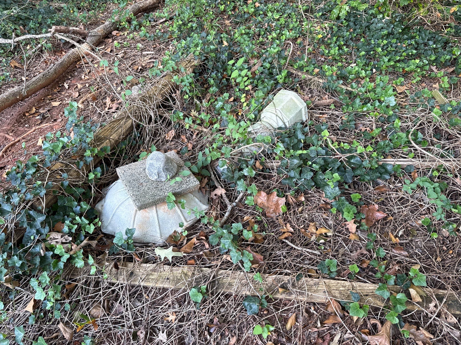 Project in Charlotte by Badger Hauling