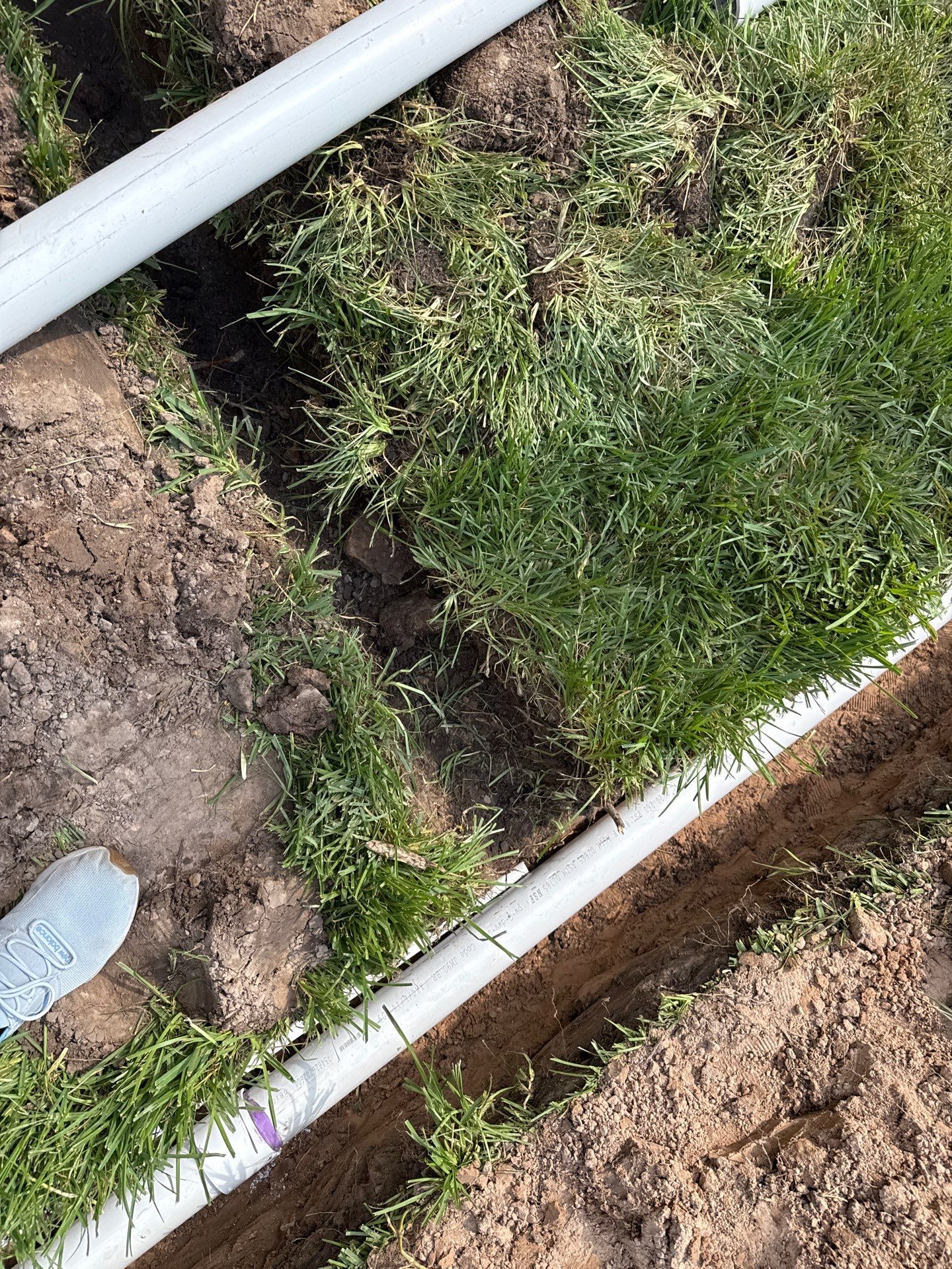 Anders Backyard Renovation  by SophAlx LLC