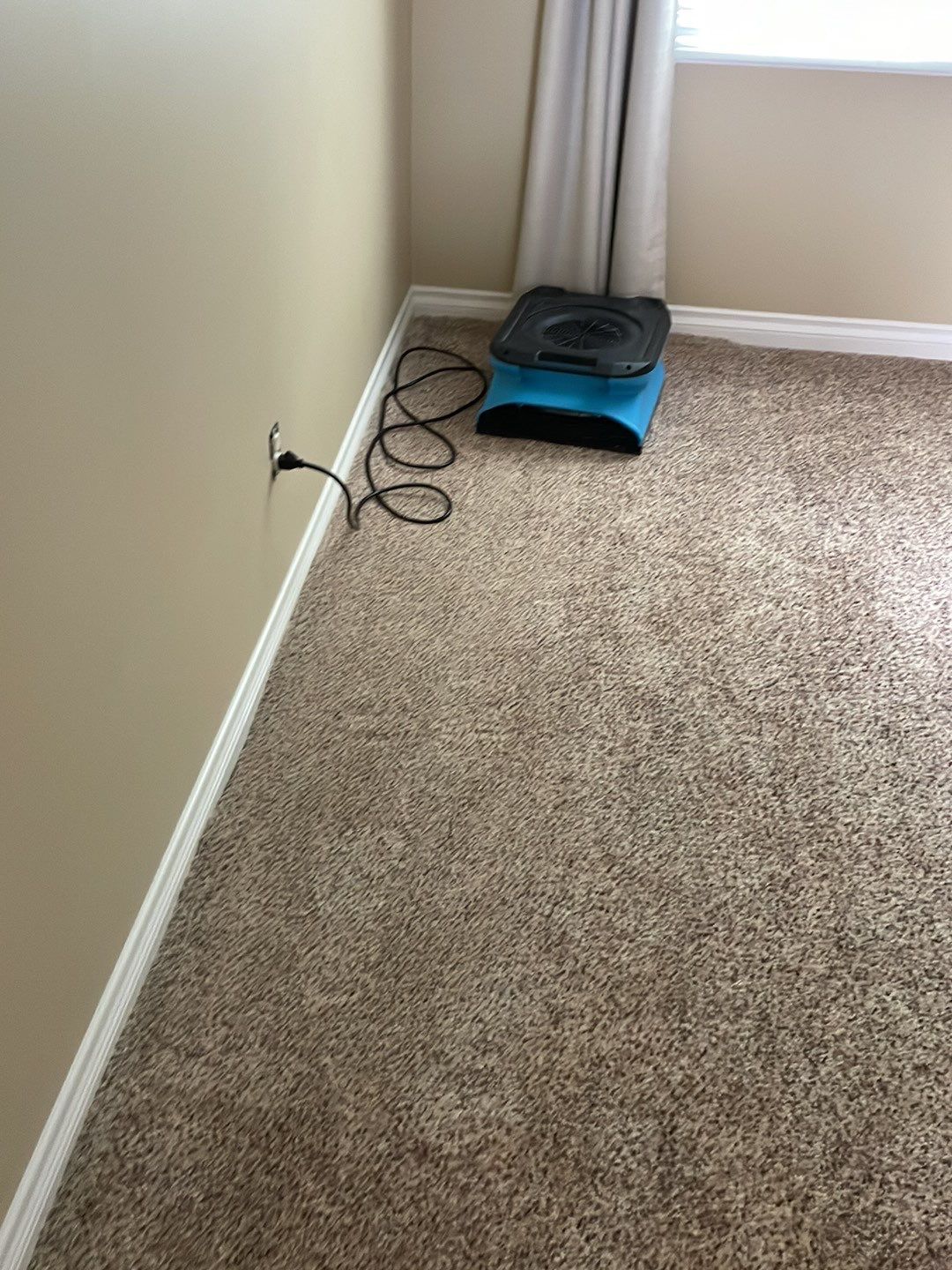 Project in Novi by EzDry Water Mitigation & Property Restoration