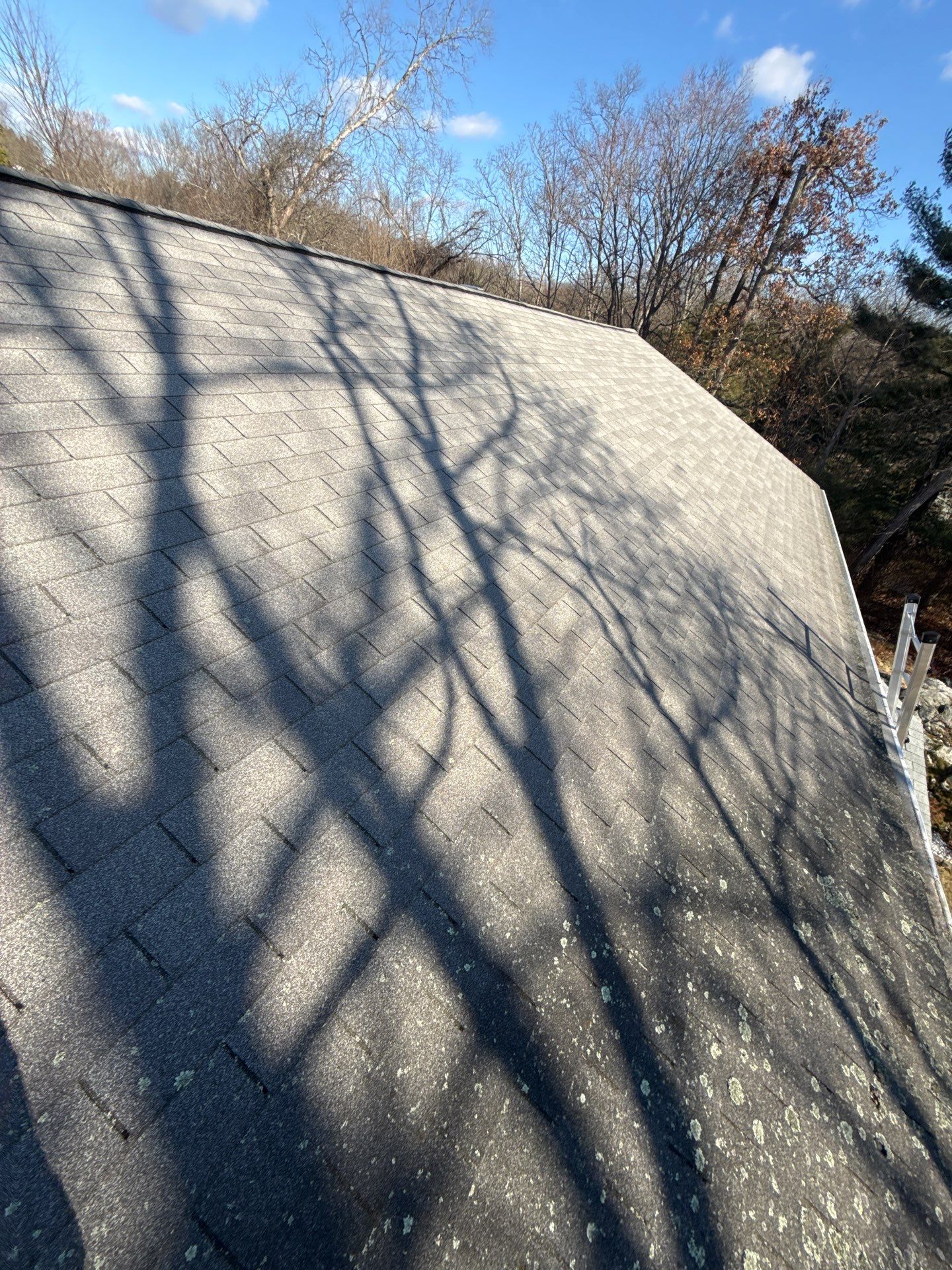 Roof & Siding  by JLP PRO SERVICES LLC