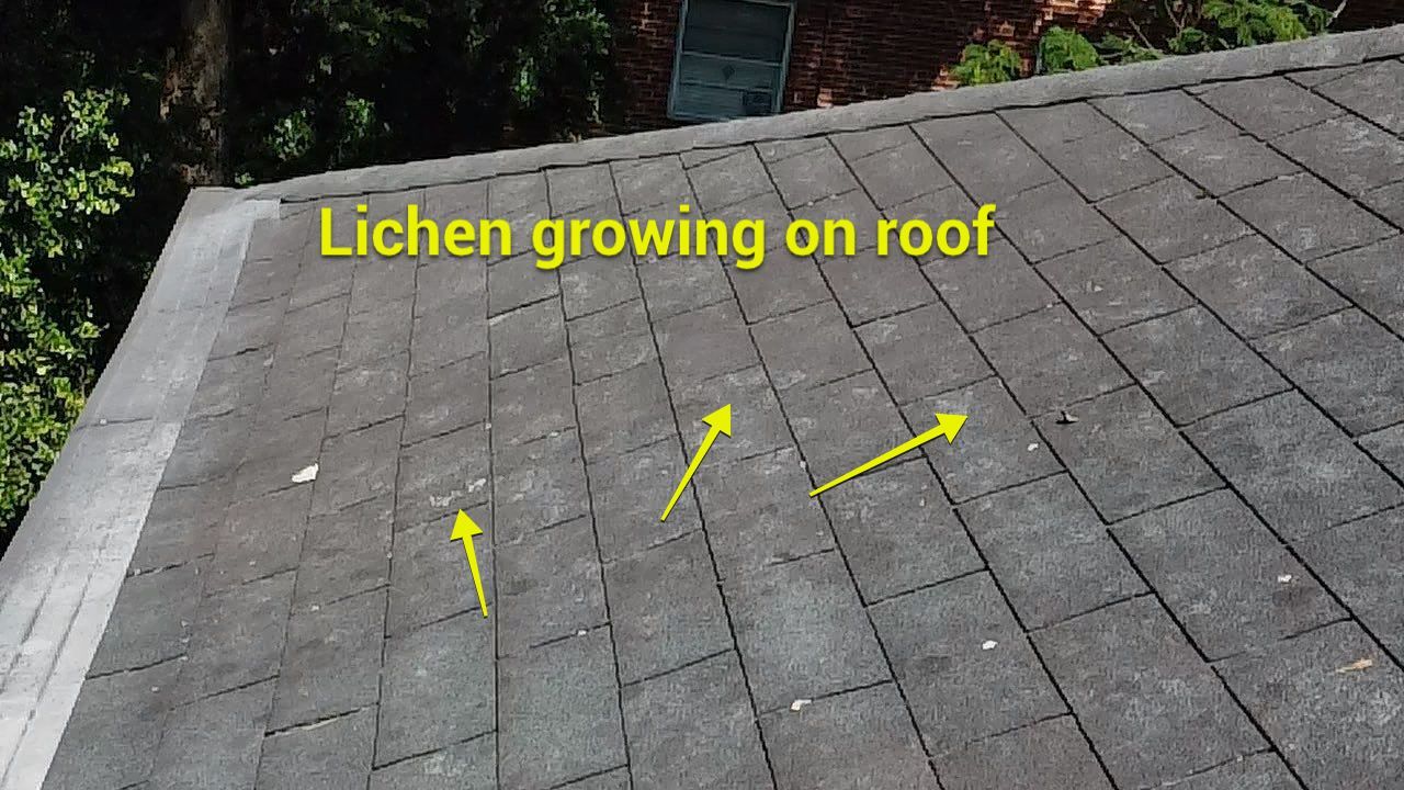 Project in Richmond by Roof Maxx of Midlothian