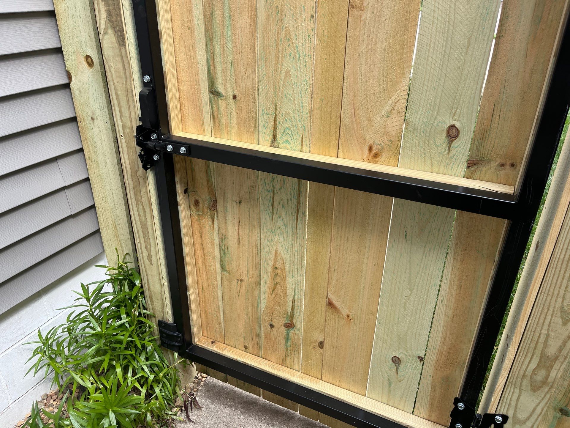 Pressure-Treated Pine Privacy Fence and Custom Gates in Waterloo by Perfect Picket Fence and Stain