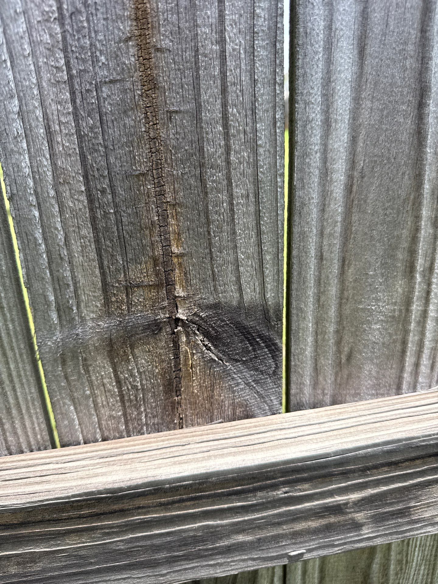 Fence using Wood Sealant by DuraSeal