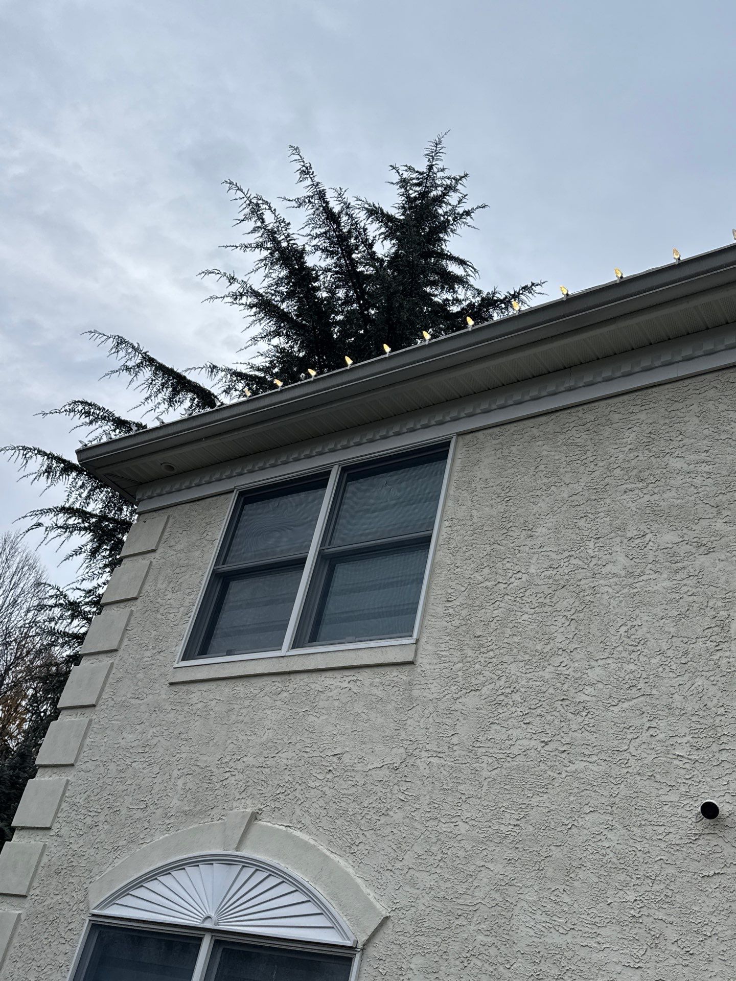 Holiday Lighting Installation in Morganville, NJ by Clearview Washing