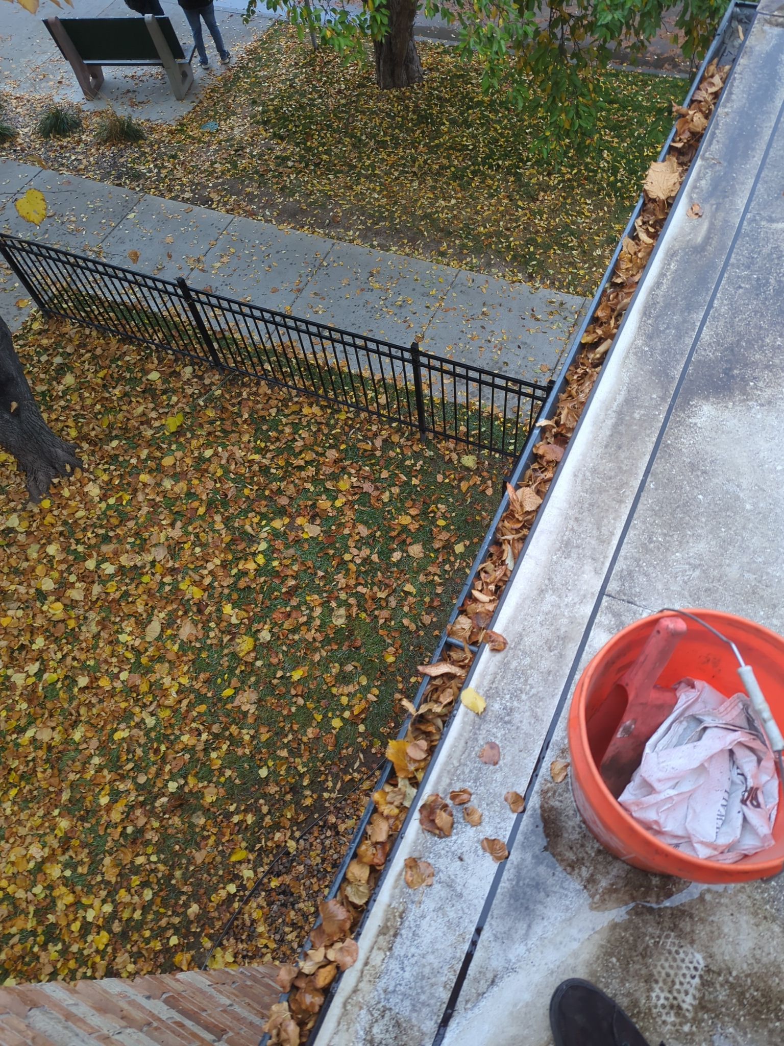 Commercial gutter cleaning Fort Collins / Loveland before photo with filled gutters