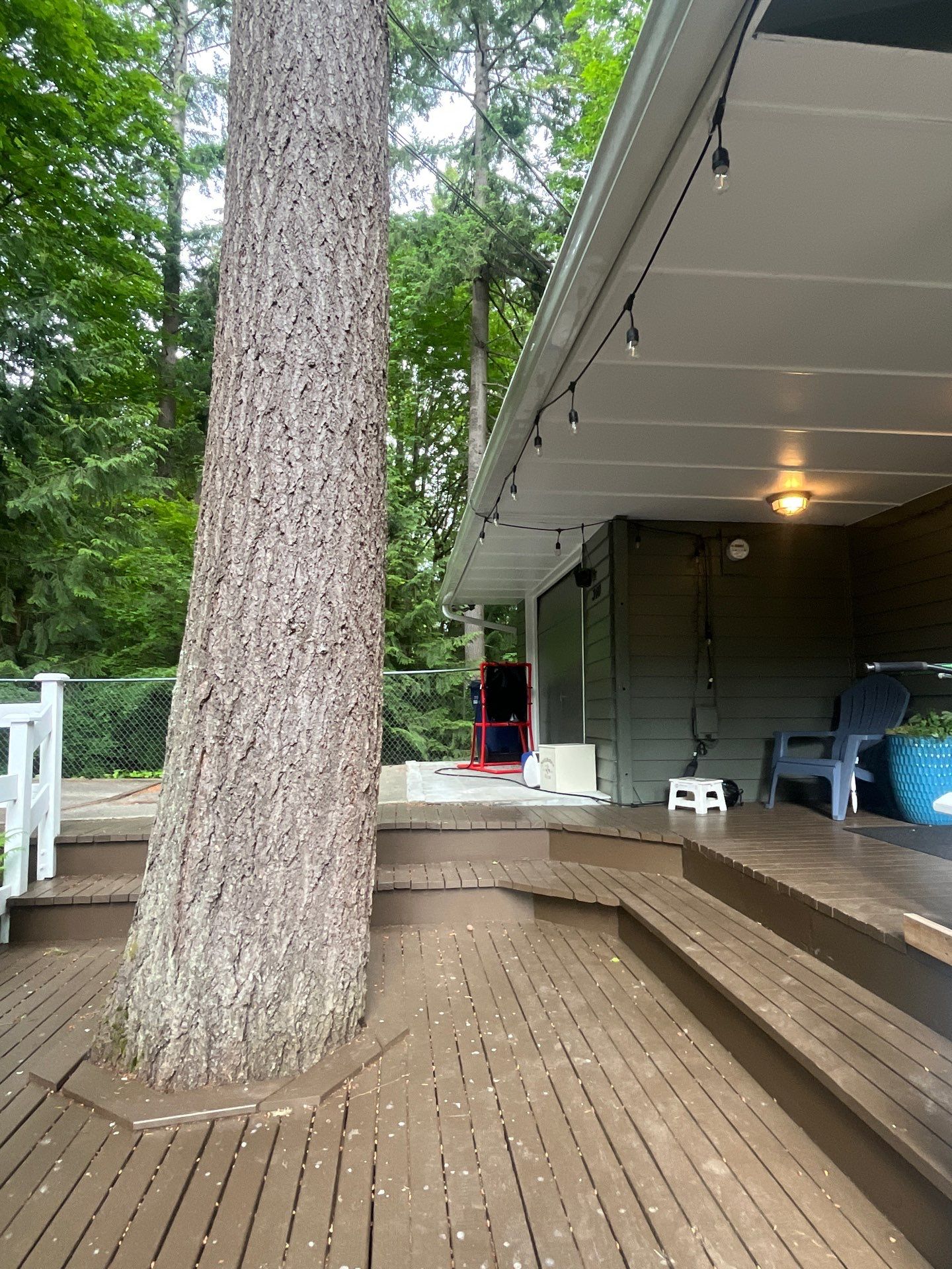 Issaquah Fir and Cedar Removal Near Power Lines and Deck by Sound Tree Care LLC
