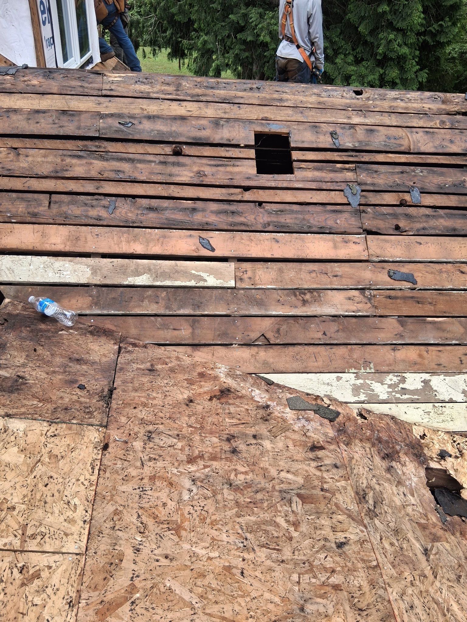 Project in Gresham by Tom Leach Roofing
