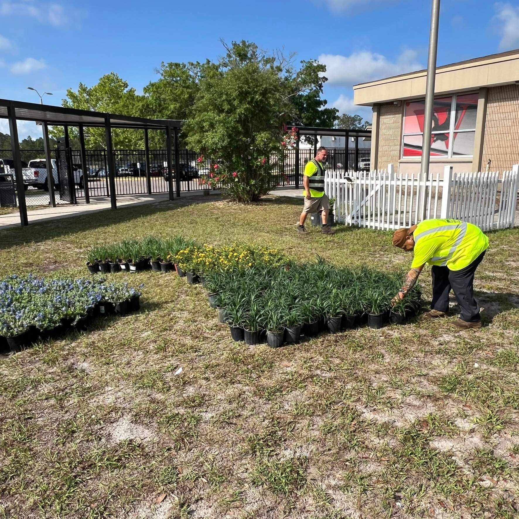 Landscape Install | Wilkinson JHS by ProGreen Services