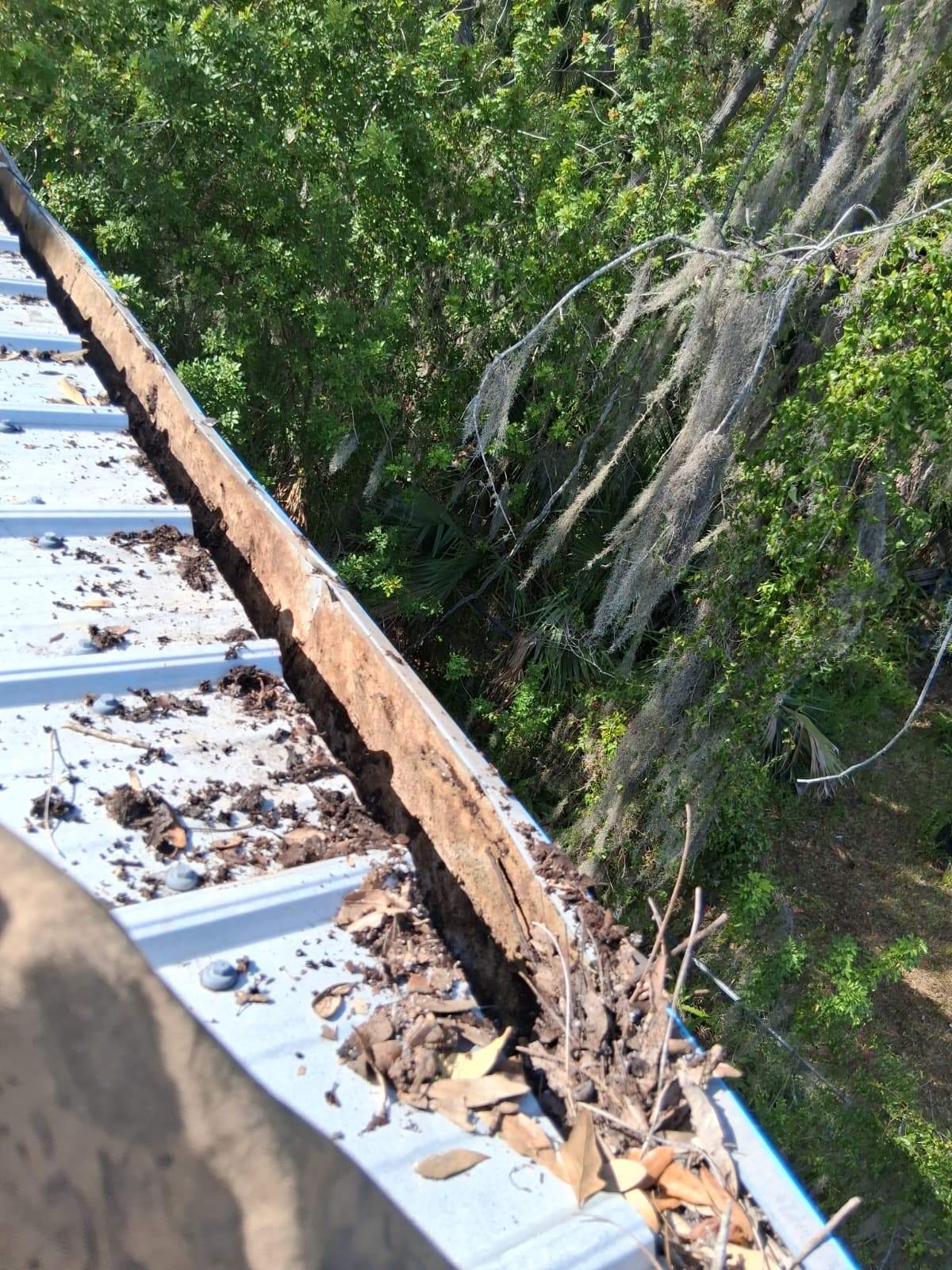 Clean Gutters and Seal Seams in Lakeland FL by Gutter Professors