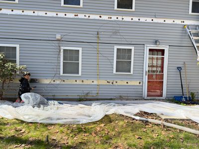 Project in Auburn