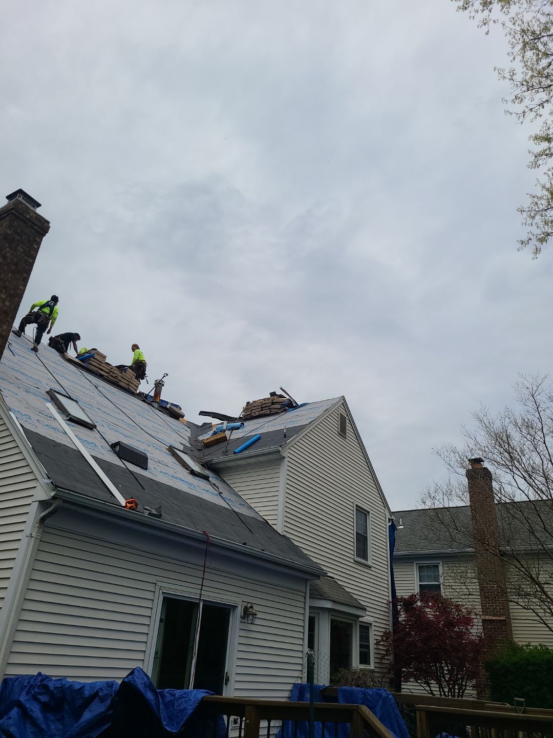 Vienna: CertainTeed Landmark Pro Designer Shingles in Max Def Moire Black by RM Banning, Inc.