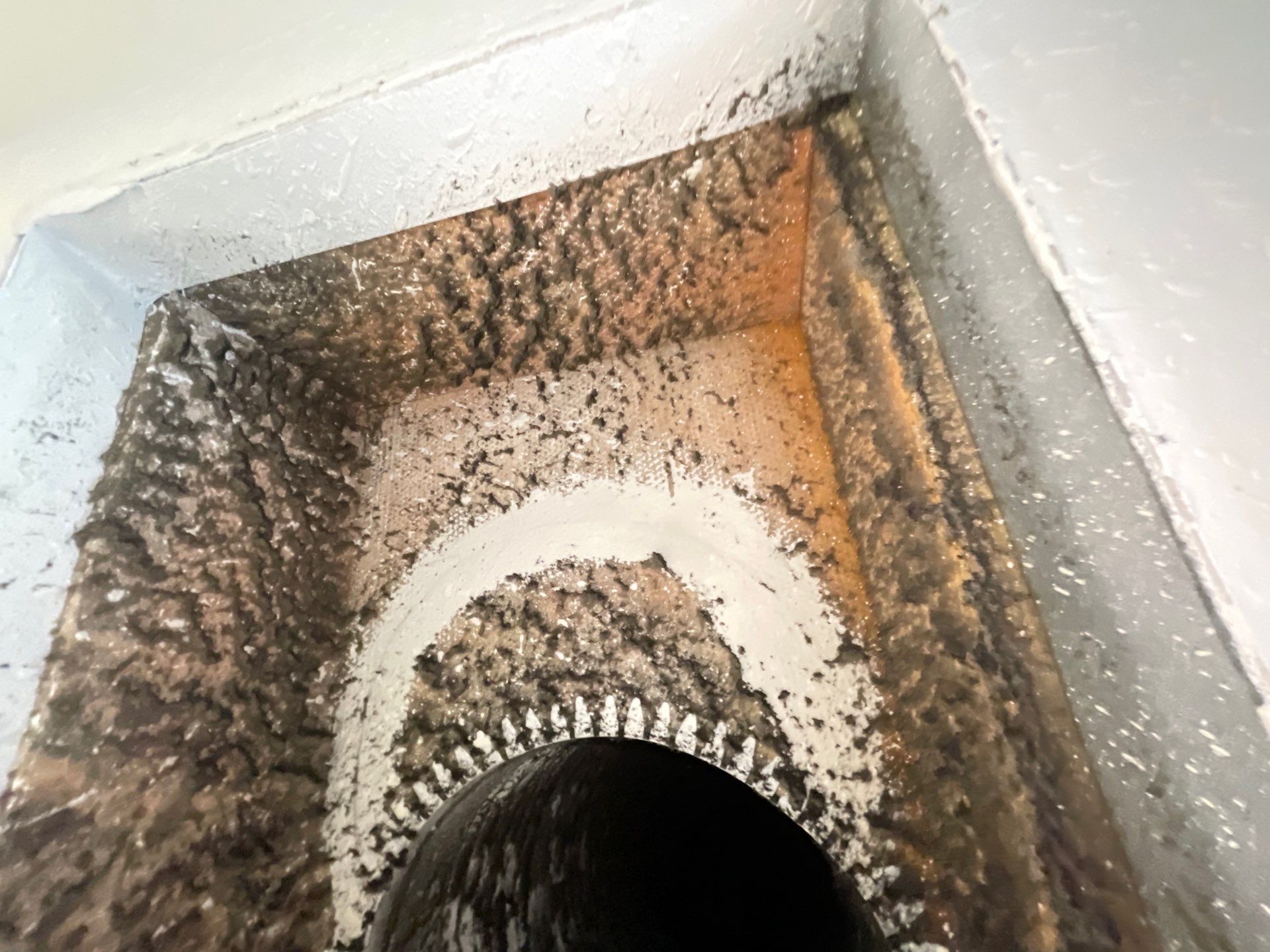 Air Duct Cleaning in Bartow by Hygienic Air, Inc